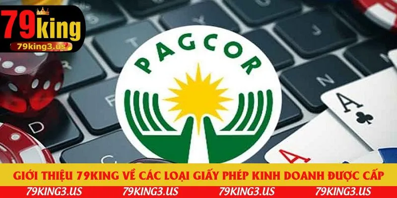Giới thiệu 79king về các loại giấy phép kinh doanh được cấp