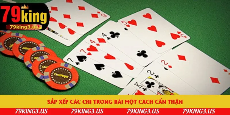 Sắp xếp các chi trong bài một cách cẩn thận